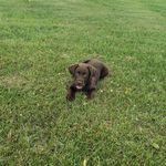 Doug holderman - @holdermandoug - Instagram