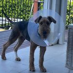 Dougal NW - @dougalgoesonholidays - Instagram