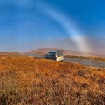 Dougal VW california - @dougals_scottish_holiday - Instagram