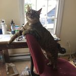 Doug Holst - @doug_holst - Instagram
