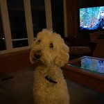 Doug Hood - @doug_bobbyhood - Instagram