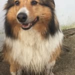 Annie - @doughovanec - Instagram