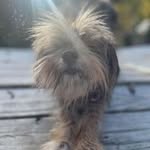 Doug Howes - @howesdoug - Instagram