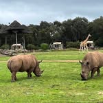 Doug Howie - @fulla46 - Instagram