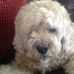 Doug Hsu - Facebook
