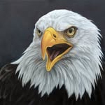 Doug Hsu - @alaiapacheco - Instagram