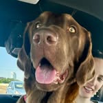 Doug Huber - @huberdoug - Instagram