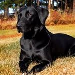 Doug Huberty - @hubertydoug - Instagram