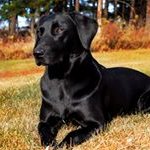 Doug Huberty - @hubertydoug - Instagram
