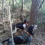 Doug Huffman - @doug.huffman.7374 - Instagram