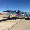 doughutton1 - @doughutton1 - TikTok
