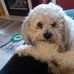 Doug Ide - Facebook