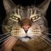 Doug Ingham - Facebook