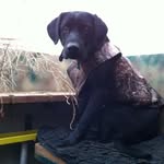 Doug Irvine - @doug.irvine.16 - Instagram