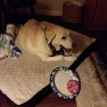 Doug Irvine - @doug.irvine.58 - Instagram