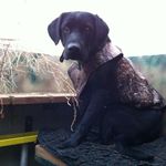Doug Irvine - @doug.irvine.16 - Instagram