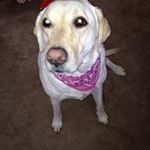 Doug Irvine - @doug.irvine.961 - Instagram