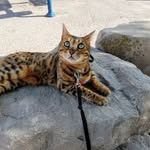 Doug Irwin - @doug.irwin.182 - Instagram