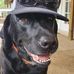 Doug Jamison - Facebook