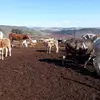 Doug Jansen - @doug.jansen - TikTok