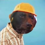 Doug Jansen - @blaze_the_gsp - Instagram