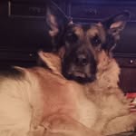 Doug Jenkins - @viking00756 - Instagram