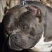 Doug Jerome - Facebook