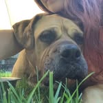 Doug Joyce-Brandt - @sluggishcanine - Instagram