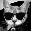 doug judy le voleur de pontiac - @doug.judy.le.vole - TikTok