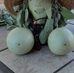 Doug Gast - Facebook