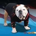 Doug Kemp - @sgtkemperfi - Instagram