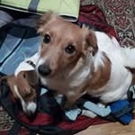 Doug Kemp - @dkemp2619 - Instagram