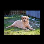 Doug Kent - @dougkent18 - Instagram