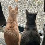 Doug Kidd - @beatboxinva - Instagram