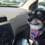 Doug Kidd - @doug.kidd - Instagram