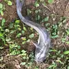 doug.knipp - @doug.knipp - TikTok