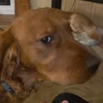 James Krause - @james_doug_krause - Instagram