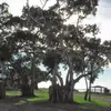 Doug Kuhn820 - @dougkuhn1122 - TikTok