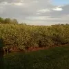 dougkuhn6 - @dougkuhn6 - TikTok