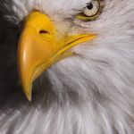 Douglas Kuhn - @dougkuhn45 - Instagram