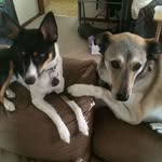 Doug Large - @largedoug - Instagram