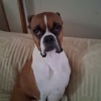 Doug Large - Facebook