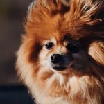 Doug (not so) Large - @douglarge - Instagram