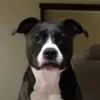 douglarsen69 - @douglarsen69 - TikTok