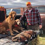 Doug Layton - @doug_layton - Instagram