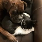 Doug Lehman - Facebook
