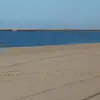 jamaal_lemkedouglas. - @jamaal_lemkedougl - TikTok