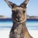 Doug - @douglester_ - Instagram