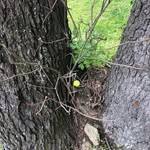 Doug Lisk - @liskdoug - Instagram
