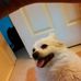 Doug Lloyd - Facebook